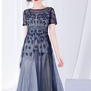 Vicky and Lucas Embroidered A-line lace Dress